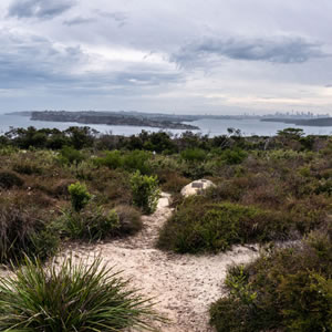 North Head Sanctuary Loop